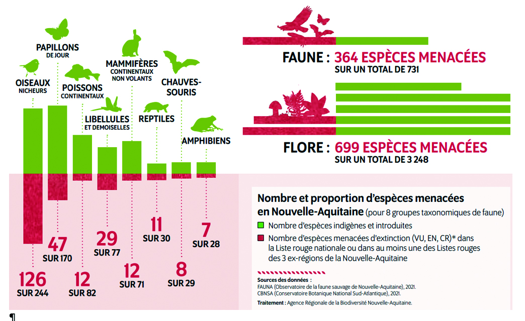19 especes