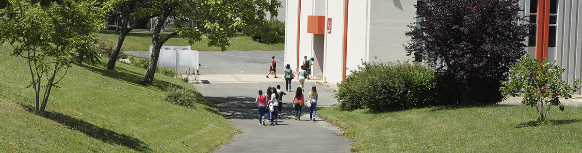 Étudiants dans une allée arborée d’un campus.