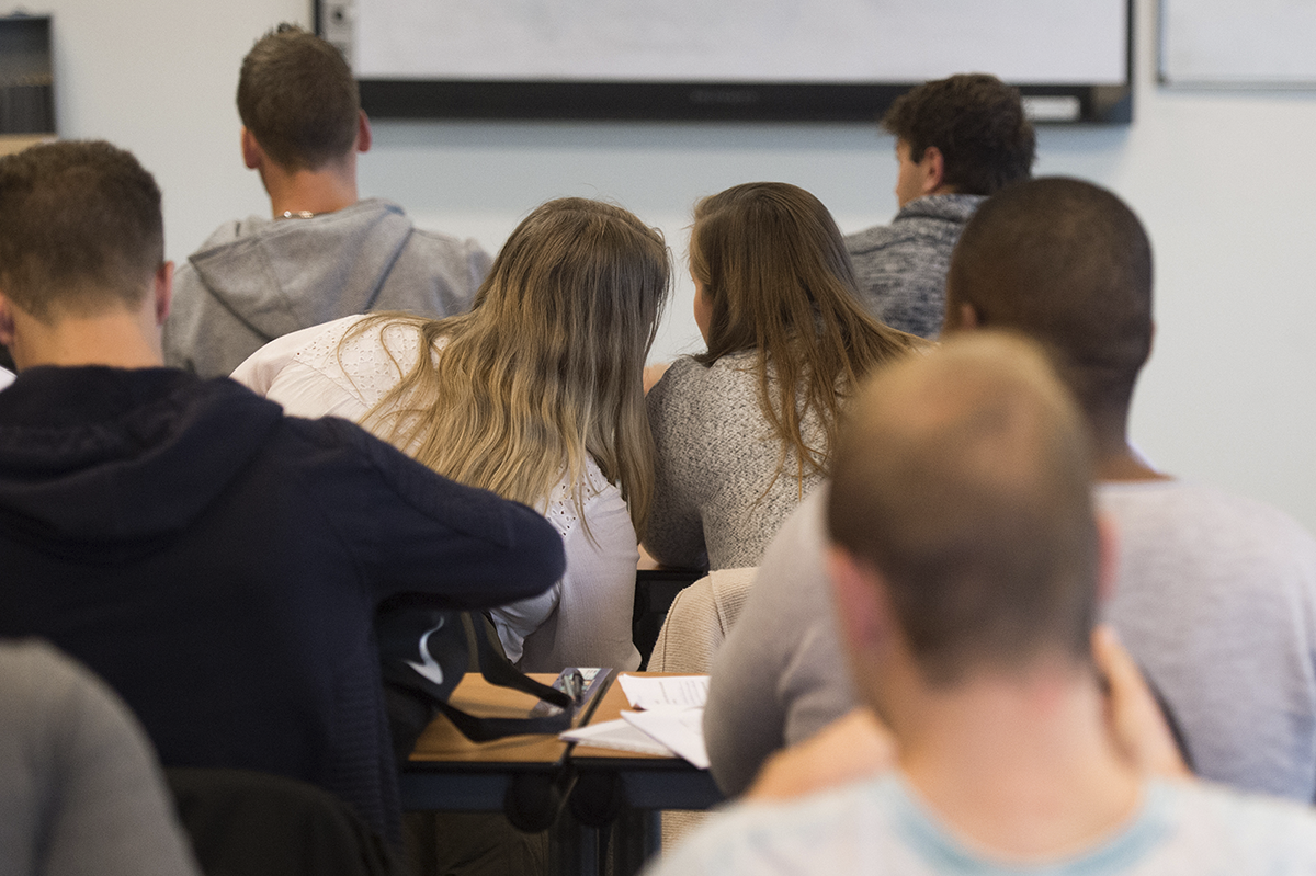 Étudiants en cours, vus de dos dans une salle de classe.