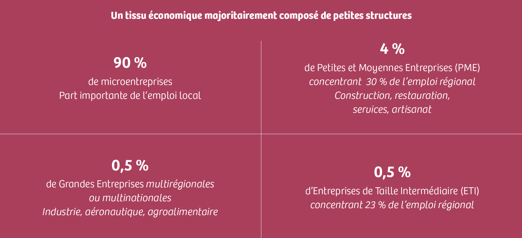 Un tissu économique majoritairement composé de petites structures : 90 % de microentreprises, part importante de l’emploi local ; 4 % de petites et moyennes entreprises (PME) concentrant 30 % de l’emploi régional (construction, restauration, services, artisanat) ; 0,5 % de grandes entreprises multirégionales ou multinationales (industrie, aéronautique, agroalimentaire) ; 0,5 % d’entreprises de taille intermédiaire (ETI) concentrant 23 % de l’emploi régional.